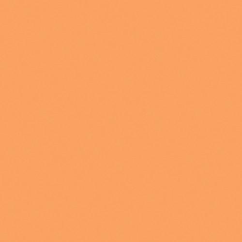 Rosco Fluorescent Lighting Sleeve Tube Guard