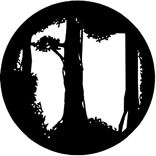 Rosco Standard Steel Gobo #7206 - Forest Floor