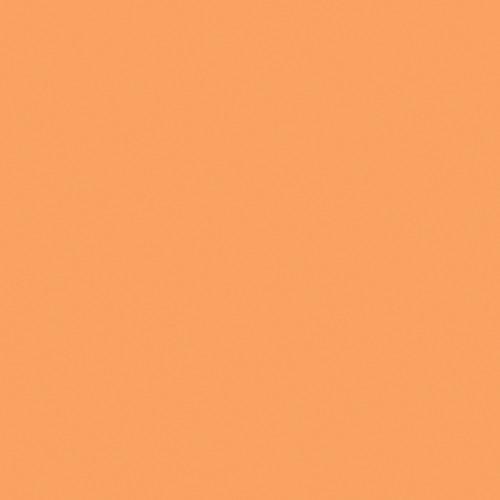 Rosco Fluorescent Lighting Sleeve Tube Guard