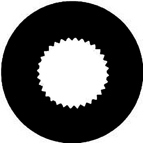 Rosco Standard Steel Gobo #7256 - Vingette Aperture 2