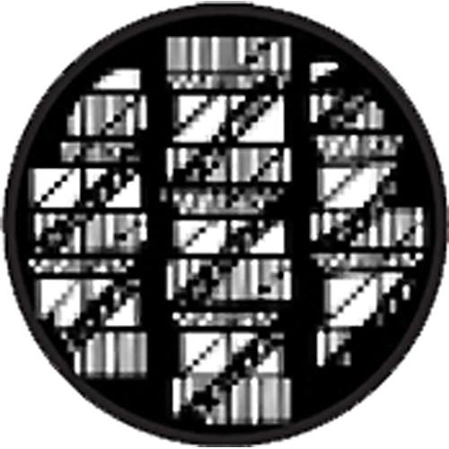 Rosco Standard Steel Gobo #7741 - Fire Escapes