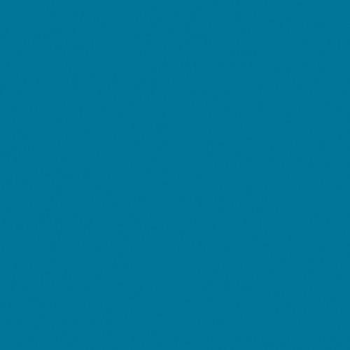 Rosco Fluorescent Lighting Sleeve Tube Guard