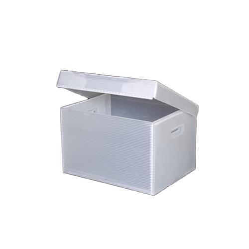Archival Methods 55-6562 Flip-Top Record Storage Box