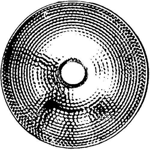 Lowel Standard #1 Reflector for DP Light