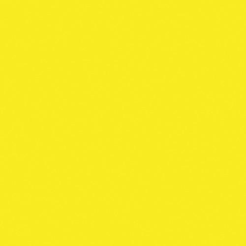 Rosco Fluorescent Lighting Sleeve Tube Guard