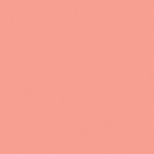 Rosco Fluorescent Lighting Sleeve Tube Guard