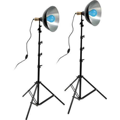 Impact Daylight Two-Floodlight Light Kit