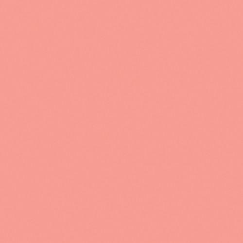 Rosco Fluorescent Lighting Sleeve Tube Guard