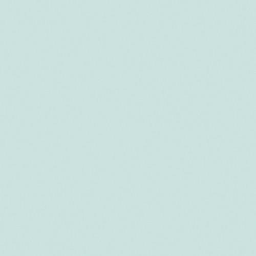 Rosco Fluorescent Lighting Sleeve Tube Guard