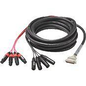 Whirlwind Medusa Digital Console Multitrack DA88 to 8 Male 1 4" TRS Fanout Snake 25