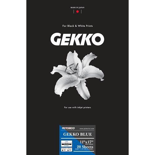 Pictorico Gekko Blue