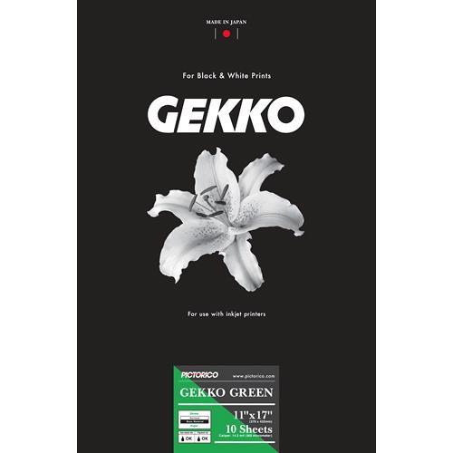 Pictorico Gekko Green