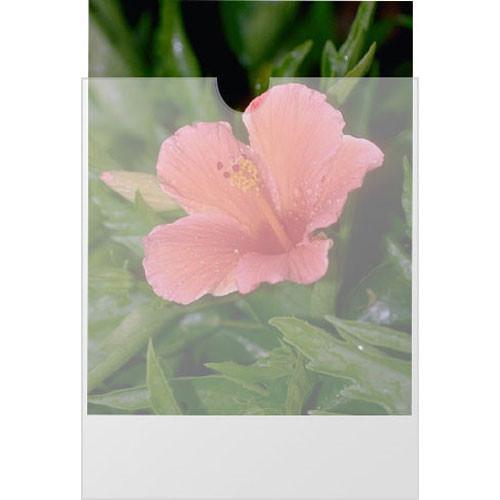 General Brand S-00670 100 Plastines Envelopes