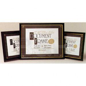 MCS Document Frame - 8.5 x 11", University
