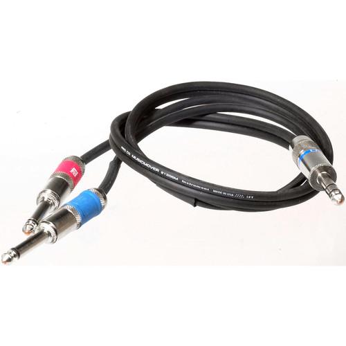 Pro Co Sound Insert Y-Cable 1