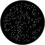 Rosco Nightsky Standard Steel Gobo 79005 Size