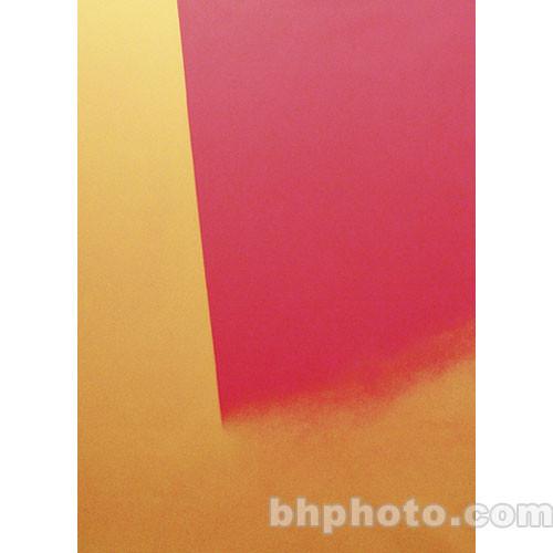 Studio Dynamics Canvas Background, Light Stand Mount - 5x6