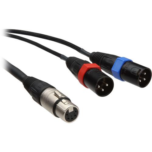 Remote Audio 5-Pin Stereo XLR Female to Dual XLR Male Y-Cable - 25