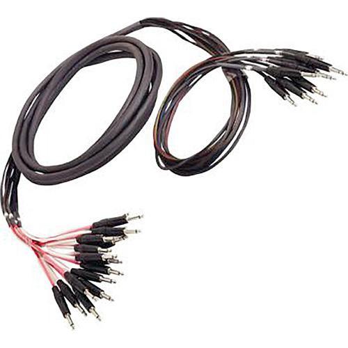 Whirlwind 8 1 4" TRS Male to 8 XLR Male & 8 XLR Female Snake Cable - 25