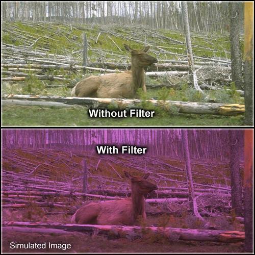 Formatt Hitech Solid Plum Filter