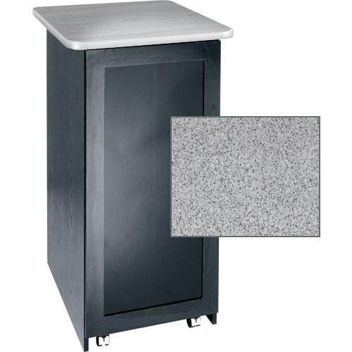 Middle Atlantic S24D-PS Single Bay Rack with Doors