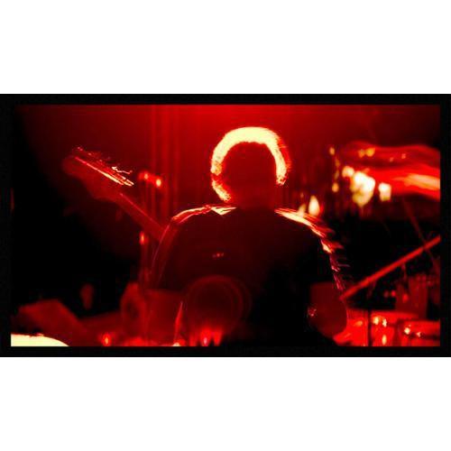 Vutec Elegante Fixed Frame Front Projection Screen