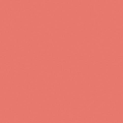 Rosco RoscoSleeve #3310 Fluorofilter