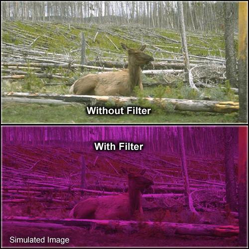 Formatt Hitech Solid Plum Filter