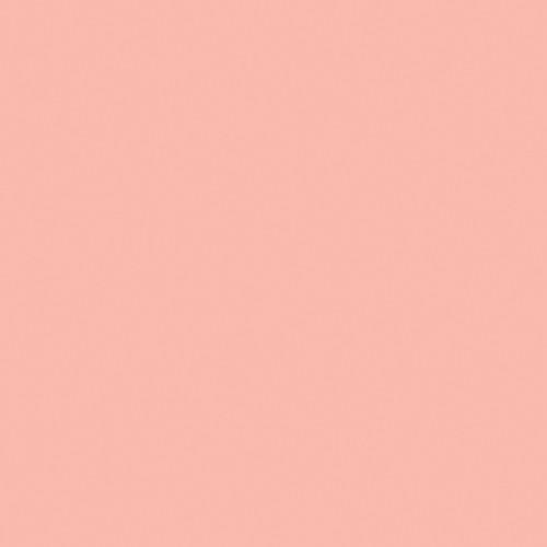 Rosco Fluorescent Lighting Sleeve Tube Guard