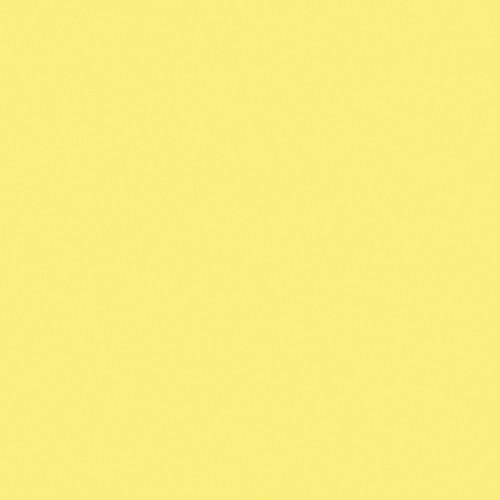 Rosco Fluorescent Lighting Sleeve Tube Guard