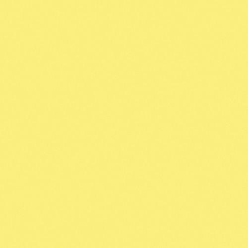 Rosco Fluorescent Lighting Sleeve Tube Guard