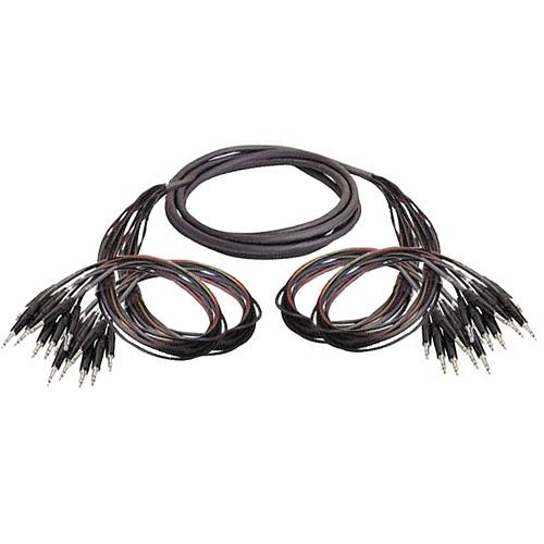 Whirlwind 16 Channel 1 4" TRS Male to 1 4" TRS Male Snake Cable - 25