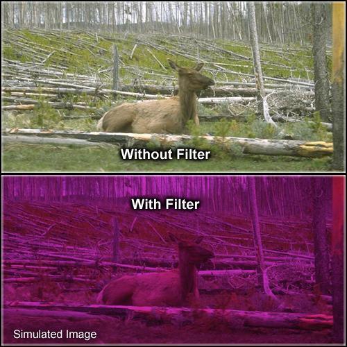 Formatt Hitech 62mm Solid Plum 3 Filter