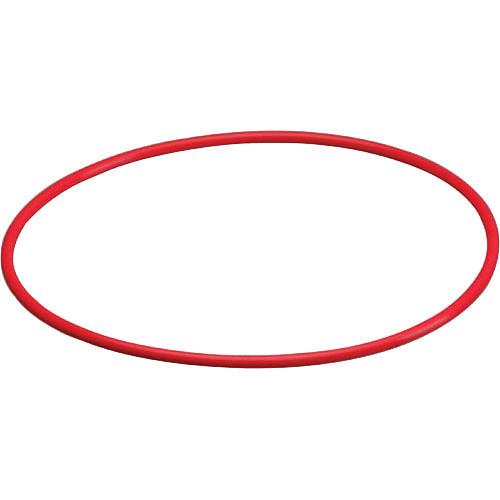 Olympus POL-038 O-Ring for PT-038 Underwater Housing