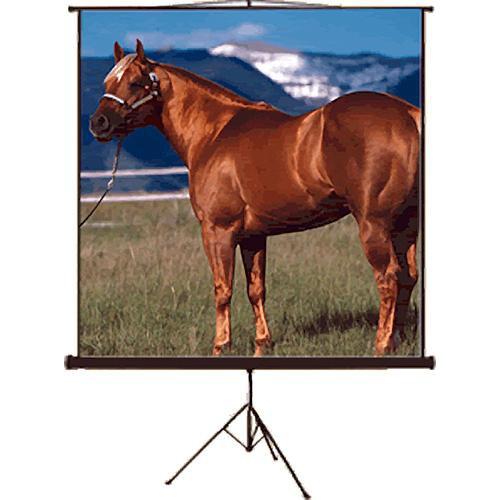 Mustang SC-T100D43 Tripod Front Projection Screen