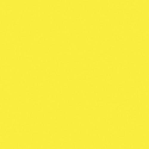 Rosco Fluorescent Lighting Sleeve Tube Guard