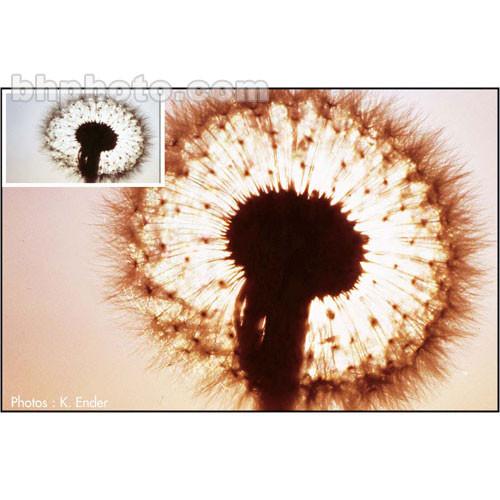 Cokin A031 85C Color Conversion Resin Filter