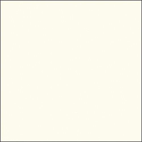 Savage Widetone Seamless Background Paper