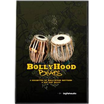 Big Fish Audio Bollywood Beats