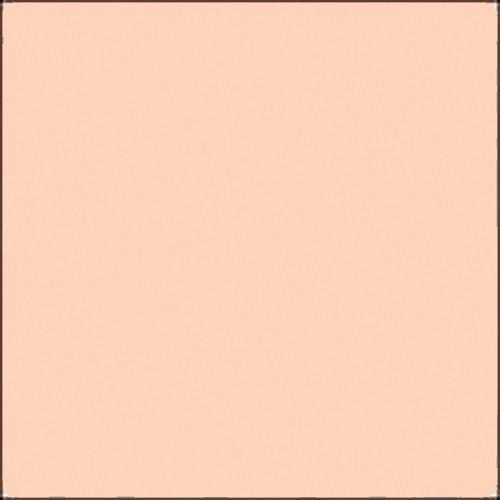 Gam GamColor #327 Filter - Pale Sepia Naked Cosmetics #NCR6 Filter - Rosey Accent - 20x24" Sheet