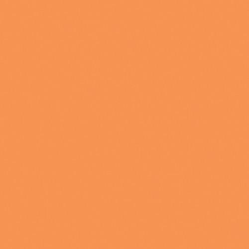 Rosco Fluorescent Lighting Sleeve Tube Guard