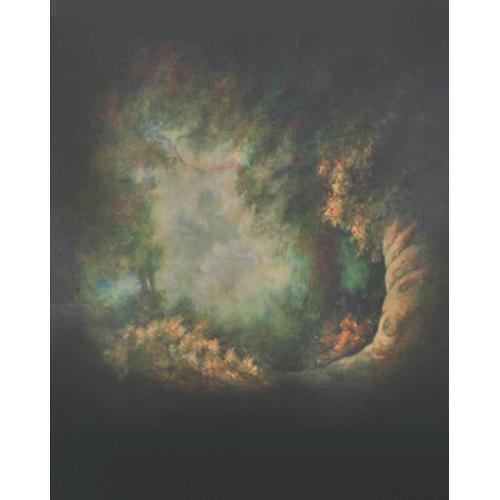 Won Background Muslin Xcanvas Background - Genesis - 10x10