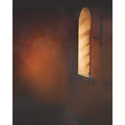 Won Background Muslin Xcanvas Background - Window Light - 10x10