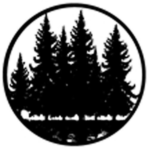 Rosco Standard Steel Gobo #78434B Tree Silhouette 3