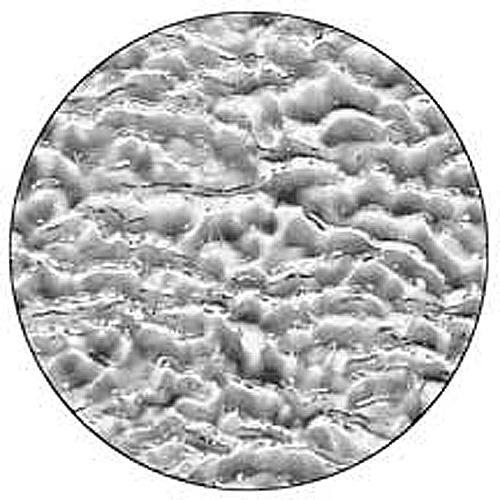 Rosco Image Effects Black and White Glass Gobo - #33619 - Ripples