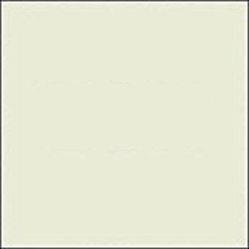 Rosco E-Colour #E278 1 8 Plus Green Fluorescent Lighting Sleeve Tube Guard