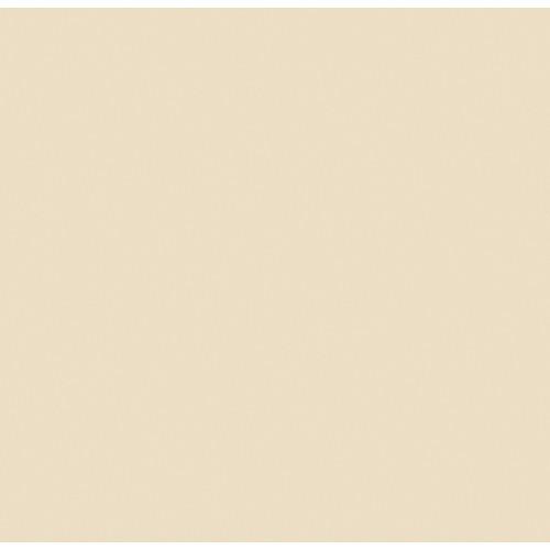 Rosco #3408 Roscosun 1 2 CTO Fluorescent Lighting Sleeve Tube Guard