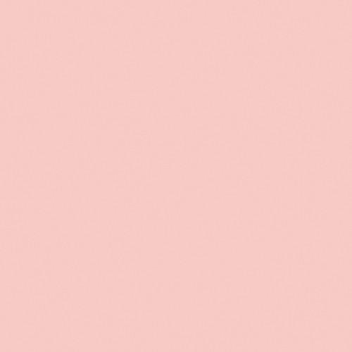 Rosco Fluorescent Lighting Sleeve Tube Guard