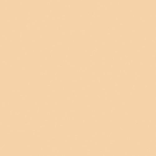 Rosco Fluorescent Lighting Sleeve Tube Guard