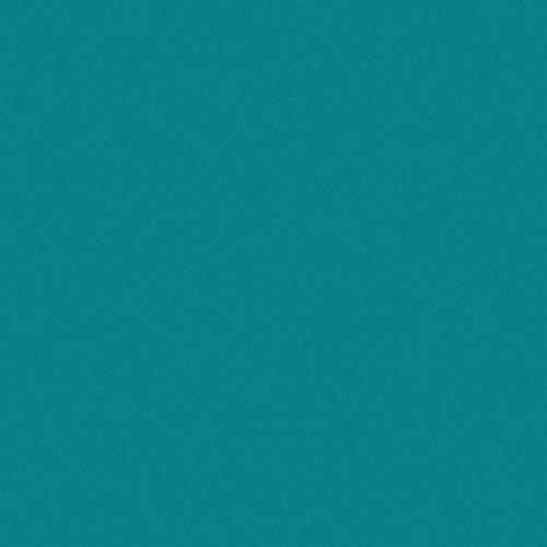 Rosco Fluorescent Lighting Sleeve Tube Guard